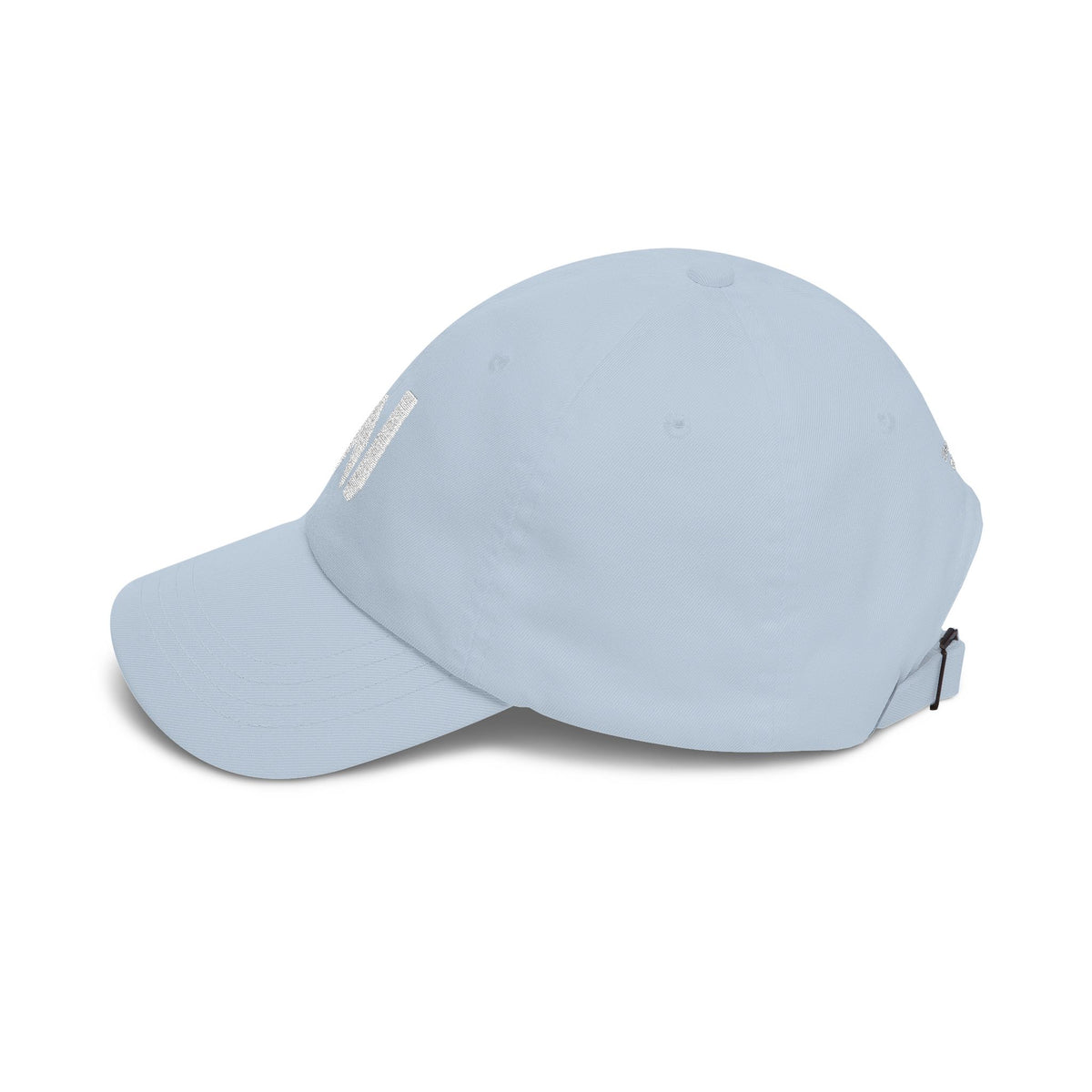 2W: Athletic Club Dad Hat
